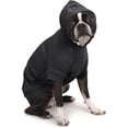 thumbnail image 2 of zack & zoey basic hoodie for dogs, 16" medium, jet black, 2 of 3