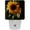 Multi-colored 2, variant on PhooArto Watercolor Splash Skulls Stars Plug in LED Night Light Auto Sensor Dusk to Dawn Decorative Night for Bedroom, Bathroom, Kitchen, Hallway, Stairs, Baby's Room, Energy Saving