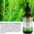 thumbnail image 3 of Huile de Romarin pour la Pousse des Cheveux 2 Oz, 3 of 3