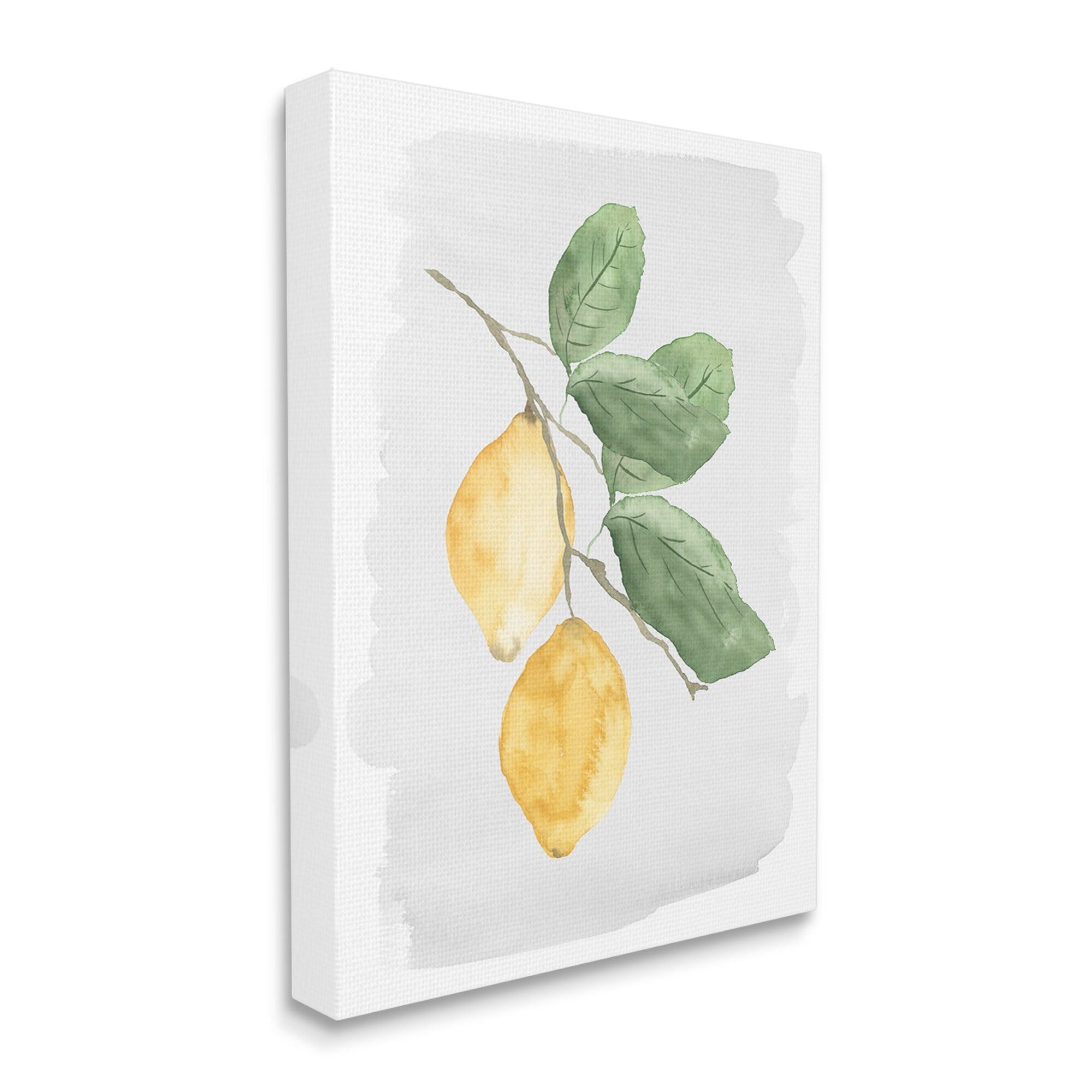 Stupell Industries Lemon Branch Pair Soft Leaves Watercolor Painting, 24 x 30,Design by Lucille Price