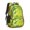 Dinosaur and Cactus, variant on Colorful Dinosaurs Space Pattern Cute School Backpack Bag with Padded Back and Adjustable Shoulder Straps 16.9 X 12.6 X 5.9 Inches
