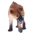 thumbnail image 4 of Juguete de modelo de animal Zulema Hiena Africana, 4 of 6