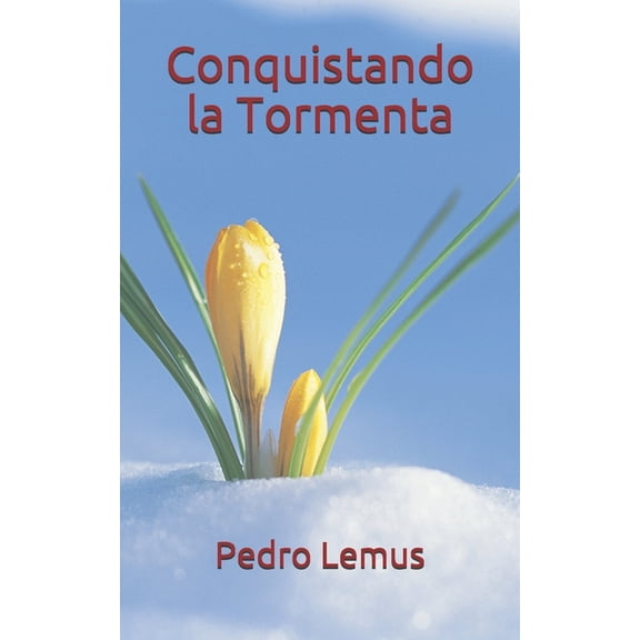 Conquistando La Tormenta (Paperback)