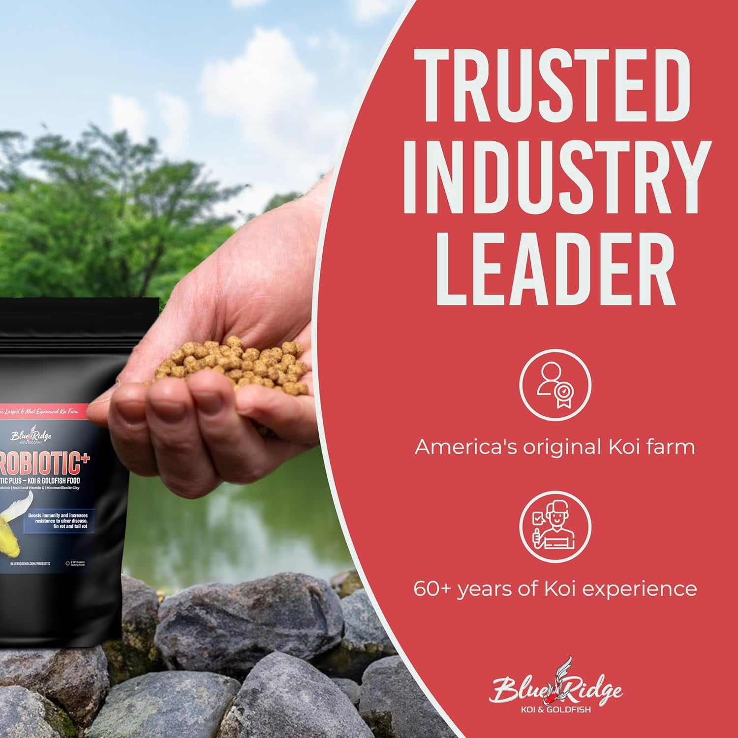 Blue Ridge Koi Fish Food 2lb - Koi Food 3/16” Probiotic Plus, Goldfish Food, Premium Fish Food for Ponds, Ponds Fish Food, Koi Food Fall and Winter Fish Food, Floating Pond Pellets