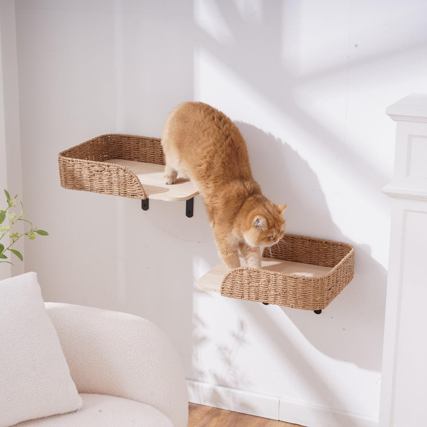 Wall Mounted Cat Bed Perch 12.6“ x 16.5” 2-Pack Wooden Shelves with Washable Pillow Cushions