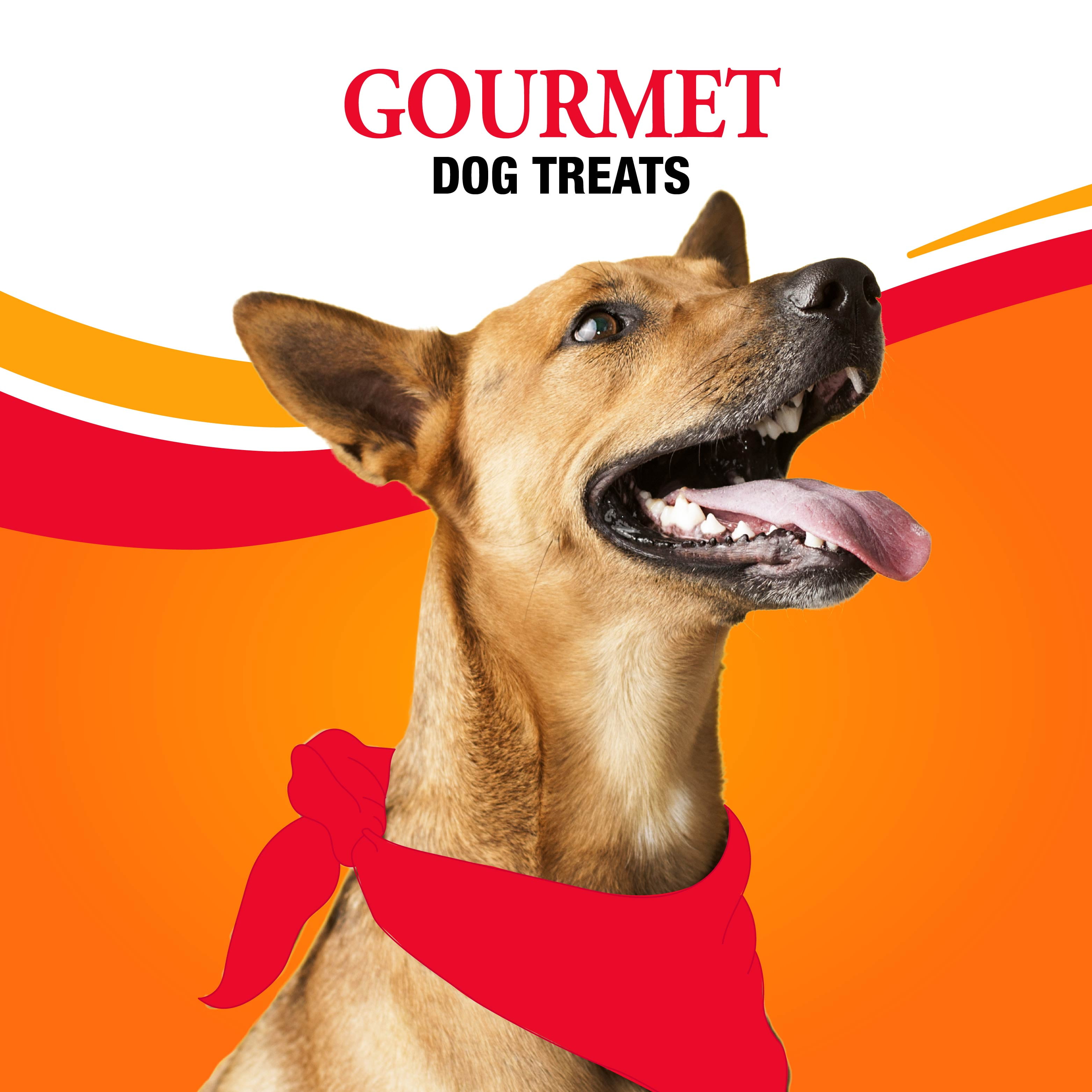 (2 pack) Good ‘n’ Fun Triple Flavor Mini Rolls, Long Lasting Dog Chews, 8 oz