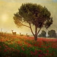thumbnail image 2 of Best, Chris 26x26 White Modern Wood Framed Museum Art Print Titled - Trees Poppies Deer II, 2 of 4