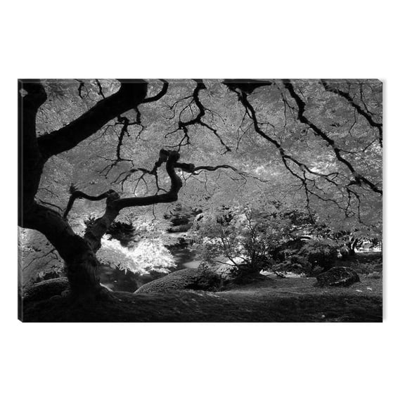 Startonight Canvas Wall Art Black and White Abstract Beautiful Tree Nature Landscape, Dual View Surprise Artwork Modern Framed Ready to Hang Wall Art 100% Original Art Painting 23.62 X 35.43 inch
