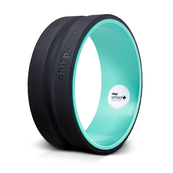 Chirp Wheel Plus 12" - DTC