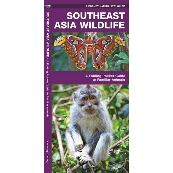 Wildlife and Nature Identification: Southeast Asia Wildlife : A Folding Pocket Guide to Familiar Animals (Other)
