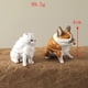 thumbnail image 4 of de Animales de 5 Uds., de Dibujos Animados, Soplan, , Perros, Adornos, Adornos de PVC, Mini Adorno de Gato para Fi, 4 of 9