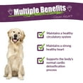 thumbnail image 3 of Amber NaturalZ HWF for Dogs | Supports a Healthy Heart & Natural Purification Processes | 4oz, 3 of 7