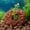 B, variant on Artificial Lava Rock for Aquarium - Volcanic Rock Pumice Stones Fish Tank Cave Decor, Aquatic Plant Fixer Anchor for Fish Turtle Tank Plants, Aquascaping Fish Tank Ornament (B)