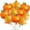 Orange, variant on HCTSHG Fall Balloons, Thanksgiving Balloons Decorations Halloween Pumpkin Balloons Decorations Supplies Maple Leaf and Pumpkin Foil Balloons for Fall Autumn Thanksgiving Birthday Party
