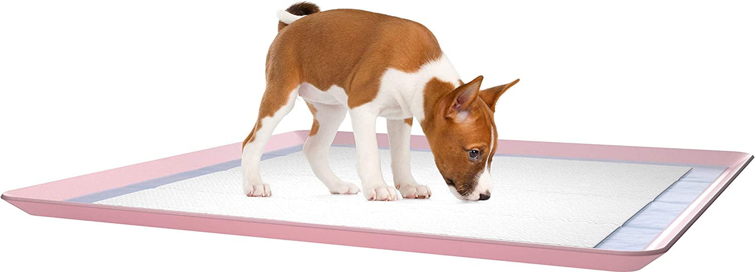 Skywin Dog Puppy Pad Holder Tray - No Spill Pee Pad Holder for Dogs - Pee  Pad Holder Works with Most Training Pads, Easy to Clean and Store (Rose) 