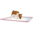 thumbnail image 4 of Skywin Dog Pee Pad Holder - 2 Pack Rose No Spill Pee Pad Holder for Dogs - Wee Wee Pad Holder Works with Most Training Pads, Easy to Clean and Store (2 Pack, Rose), 4 of 8