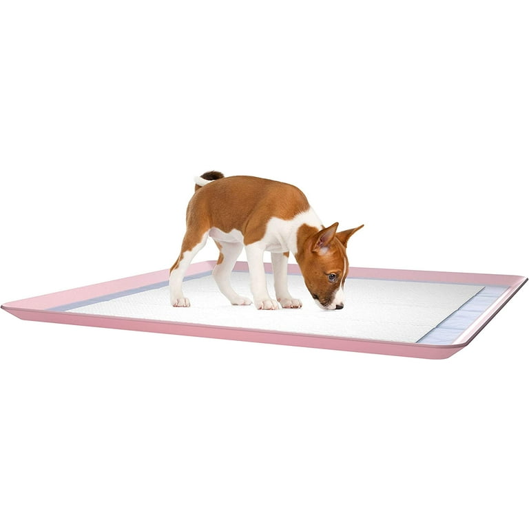 Skywin Dog Puppy Pad Holder Tray for 24x24 Inches Training Pads - Silicone  Wee Wee Pad Holder, No Spill Pee Pad Holder for Dogs, Easy to Clean and