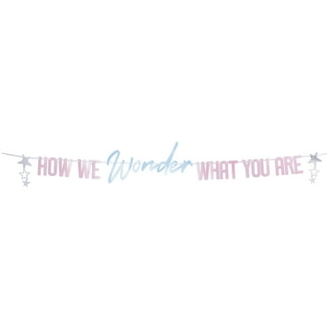 Pink/Blue Gender Reveal How We Wonder What You Are Banner, 76", by Way To Celebrate