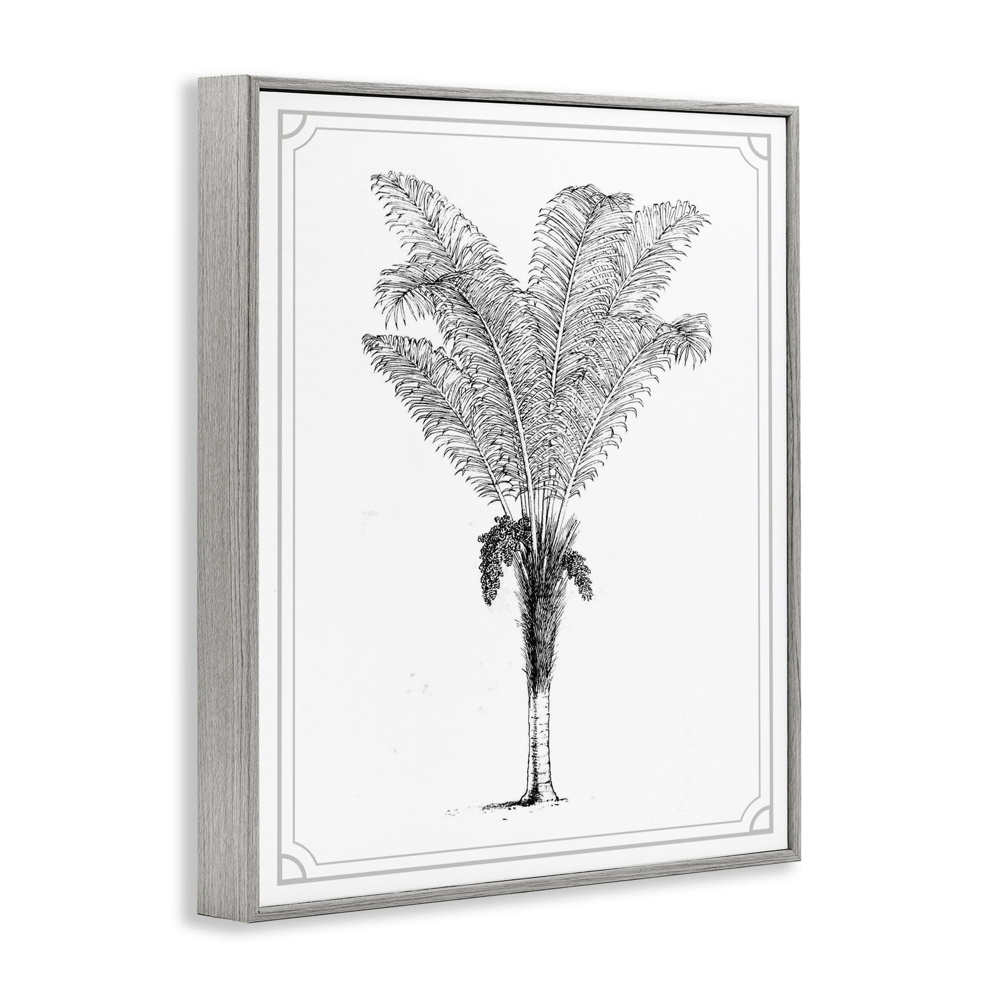 Vintage & Minimal Palm Gray Framed Giclee Art, design by Lettered and Lined