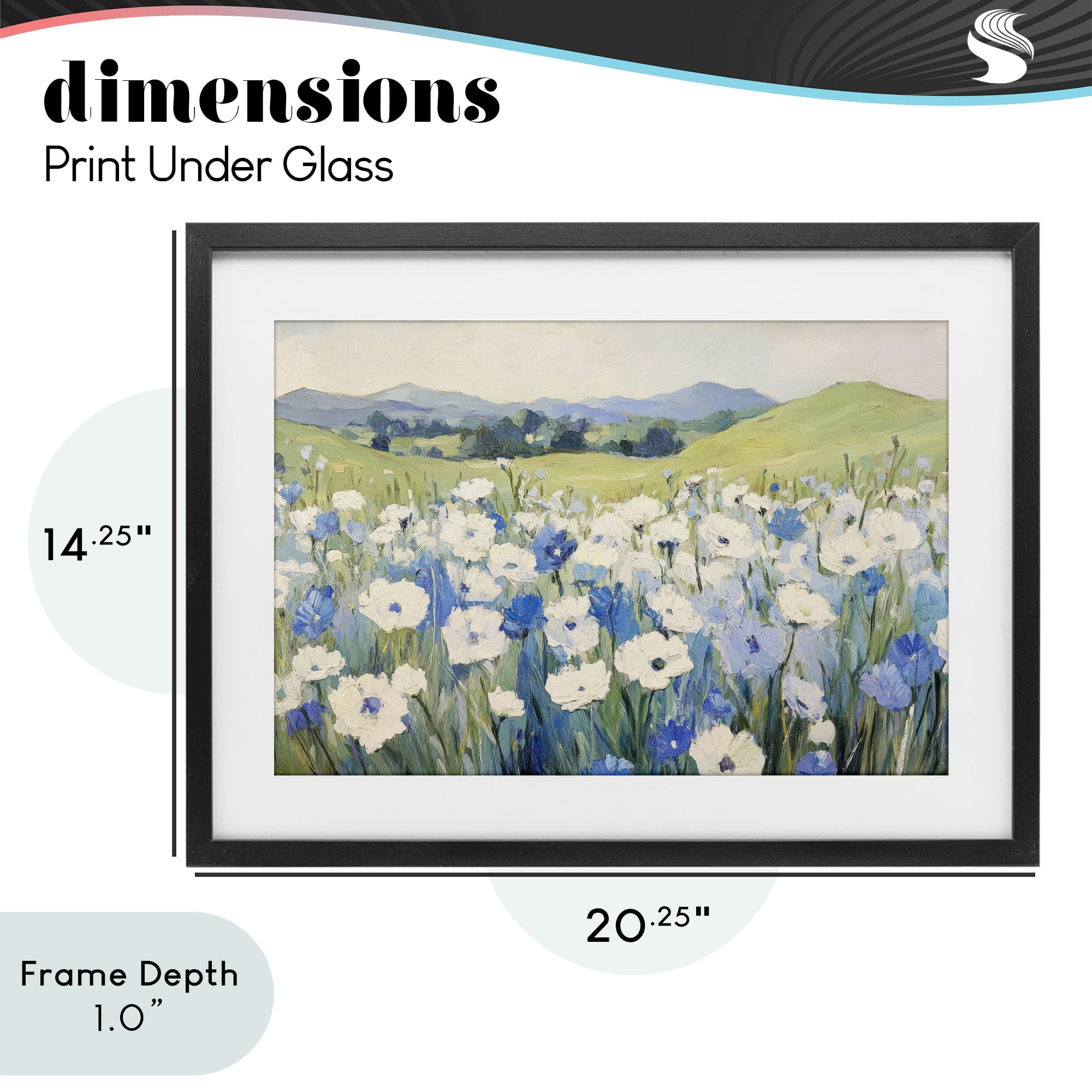 Stupell Industries Blue & White Daisies Black Framed Print Under Glass, design by Petal Prints Design