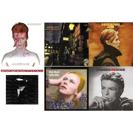 Aladdin Sane & Rise & Fall Of Ziggy Stardust & The Spiders From Mars (2012 Remaster/Half-Speed Master) & Low (2017 Remaster) & Station To Station (2016 Remastered Version) & Hunky [LP Vinyl Bundle]