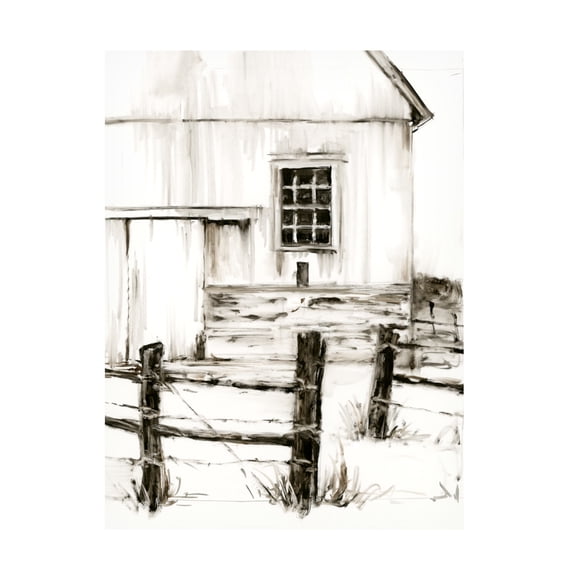 Ethan Harper 'Rustic Barbed Wire II' Canvas Art