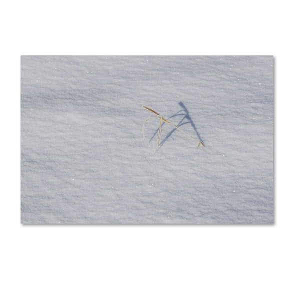 Trademark Fine Art "Winters Bleak Beauty" Canvas Art by Kurt Shaffer