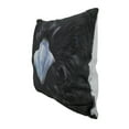 thumbnail image 2 of 18 in. Black Raven Face Decorative Throw Pillow, 2 of 3