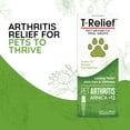 thumbnail image 2 of MediNatura T-Relief Pet Arthritis Pain Relief Arnica +12 Powerful Natural Medicines - Fast-Acting Soother for Dog & Cat - 1.69 oz, 2 of 7