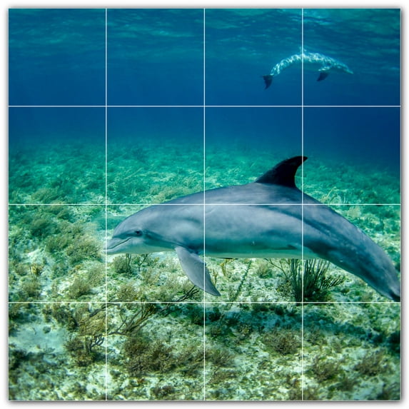 Picture-Tiles.com: Dolphin Ceramic Tile Wall Mural WAL500504-44XL. 48"W x 48"H using (16) 12" x 12" Ceramic Tiles-Satin Finish