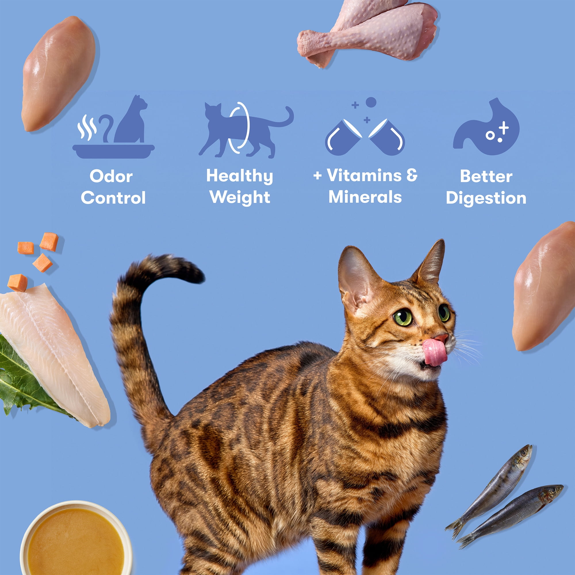 Jinx Cage-Free Chicken, Turkey, Whitefish Dry Cat Food, 3 lb Bag