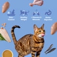 thumbnail image 2 of Jinx Cage-Free Chicken, Turkey, Whitefish Dry Cat Food, 3 lb Bag, 2 of 10
