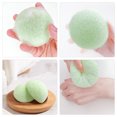 thumbnail image 3 of 2pcs Facial Sponges Portable Face Cleaning Tools Women Washing Face Exfoliating Sponges, 3 of 6