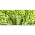 thumbnail image 2 of Fresh Green Romanesco Florets, 2 of 3