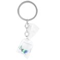 thumbnail image 1 of Resin Key Chain Tropical Fish Pendant Key Ring Fish Water Bag Charm Bag Decor, 1 of 7