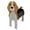 H, variant on THHEIC Garden Flower Pot Dog Cute Animal Planter, Storage Container for All House Plants, Succulents, Flowers, Cactus, Decorative Shaped Plant Pots for Pets