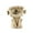 B, variant on 1.9 in. Halloween Scary Bone Figures — Pale Bone with Eerie Glows, Halloween Decorations for Snack Tables, Dessert Stations & Halloween Party Setups — great for Costume Parties with spooky setups