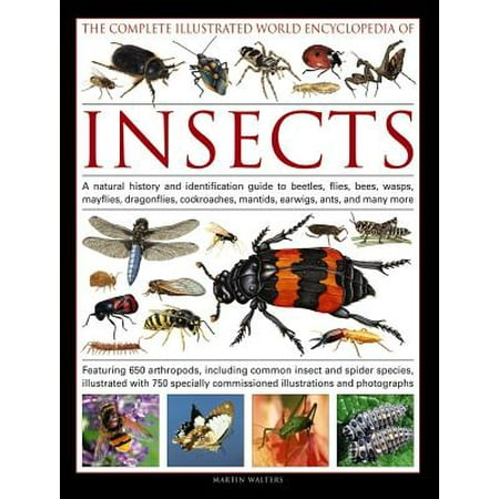 Single Foot Fly Guide The Complete Illustrated World Encyclopedia of Insects : A Natural History and Identification Guide to Beetles, Flies, Bees, Wasps, Mayflies, Dragonflies, Cockroaches, Mantids, Earwigs, Ants, and Many More ()