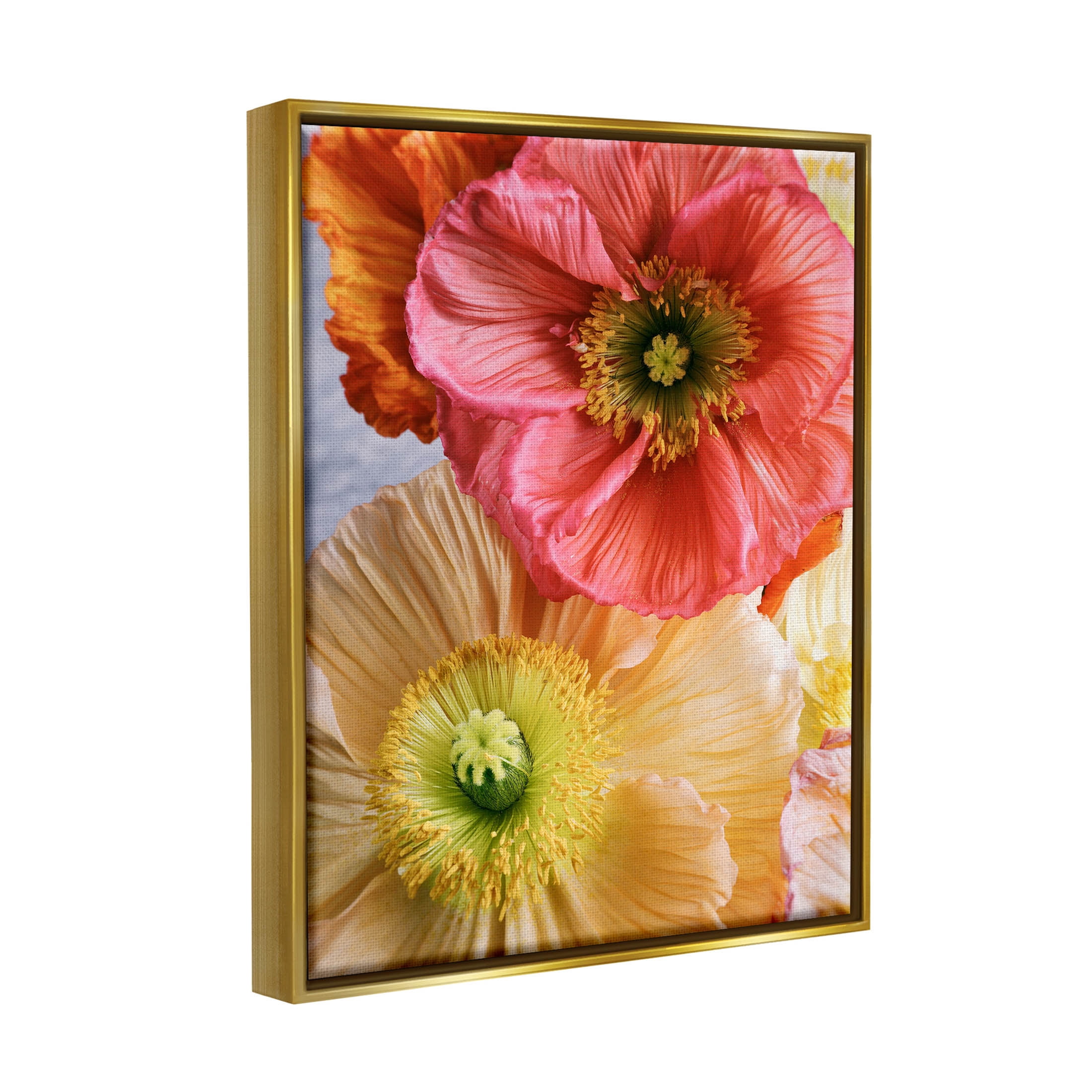 Detailed Poppy Flower Close Up Botanical & Floral Photograph Metallic Gold Framed Art Print Wall Art