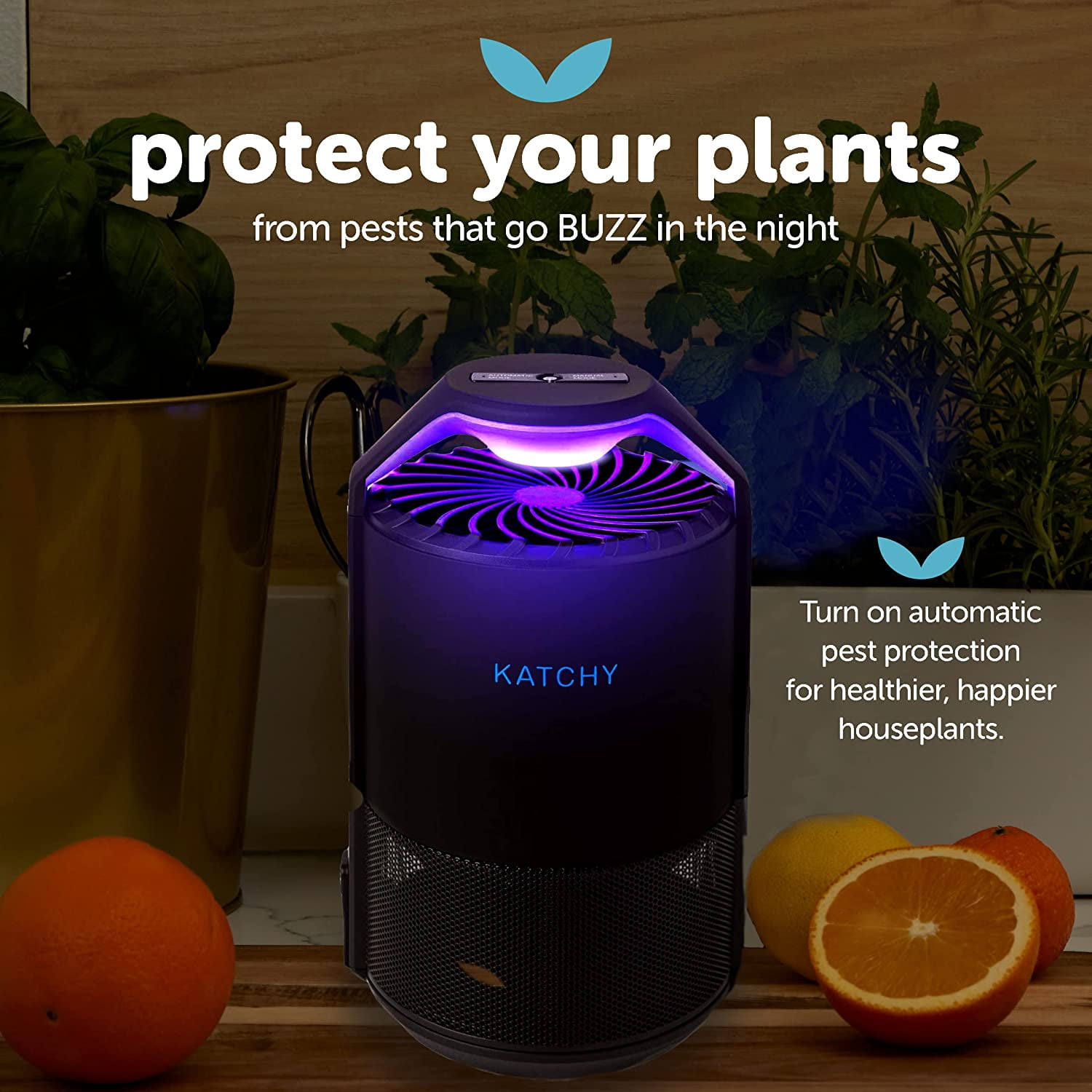 This Top-Rated Katchy Indoor Fly Trap Is On Sale