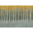 thumbnail image 3 of Wiens, James 14x11 Black Modern Framed Museum Art Print Titled - Forest Dusk, 3 of 5