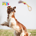 thumbnail image 2 of Juguete Aro con Pelota y Nudo Fancy Pets Aro con Pelota, 2 of 2