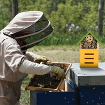 KONTONTY Honey Bee House Green Wood 1Pc 23x12cm
