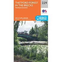 Thetford Forest In The Brecks