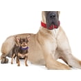 thumbnail image 5 of HHHC MAX Reflective Metal Buckle Dog Collar - We Donate a Collar to a Dog Rescue for Every Collar Sold, 5 of 5