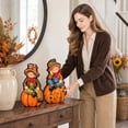 thumbnail image 5 of Fall Harvest Scarecrow Figurine Set of 2, Wood 2D Scarecrow Sitting on Pumpkin Statue with Sunflower, Autumn Farmhouse Tabletop Decor for Mantel Shelf Thanksgiving Home Decor, 5 of 5