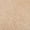 Beige, variant on Women's Pumps Chunky Closed Pointed Toe Block Heels for Women Dress Shoes Elastic Crisscross Strappy 3.15 Inch Comfortable for Wedding Bridal