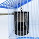 thumbnail image 4 of Winter Heating Reptile Heat Lamp Pet Coop Heater Kit Parrot Warmer Lamp Multipurpose Lighting Tortoise Heat Emitter Lizard Reptile Bird Cage Decoratio50W, 4 of 5