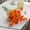 Orange, variant on Yoyauz 3PCS Artificial Flower Small Daisy Simulation Chamomile Holland Chrysanthemum Plastic Fake Flowers Silk Flowers Home Wedding Decorative Arrangements Flowers