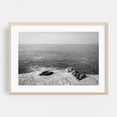 thumbnail image 2 of Sea Lions in La Jolla 02 B&W - La Jolla California Photography Black and White Ocean Coast Beach Nature Waves Minimalist Unframed Wall Art Print 20 x 28 inches, 2 of 7